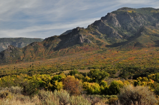 the fall colors of the canyons